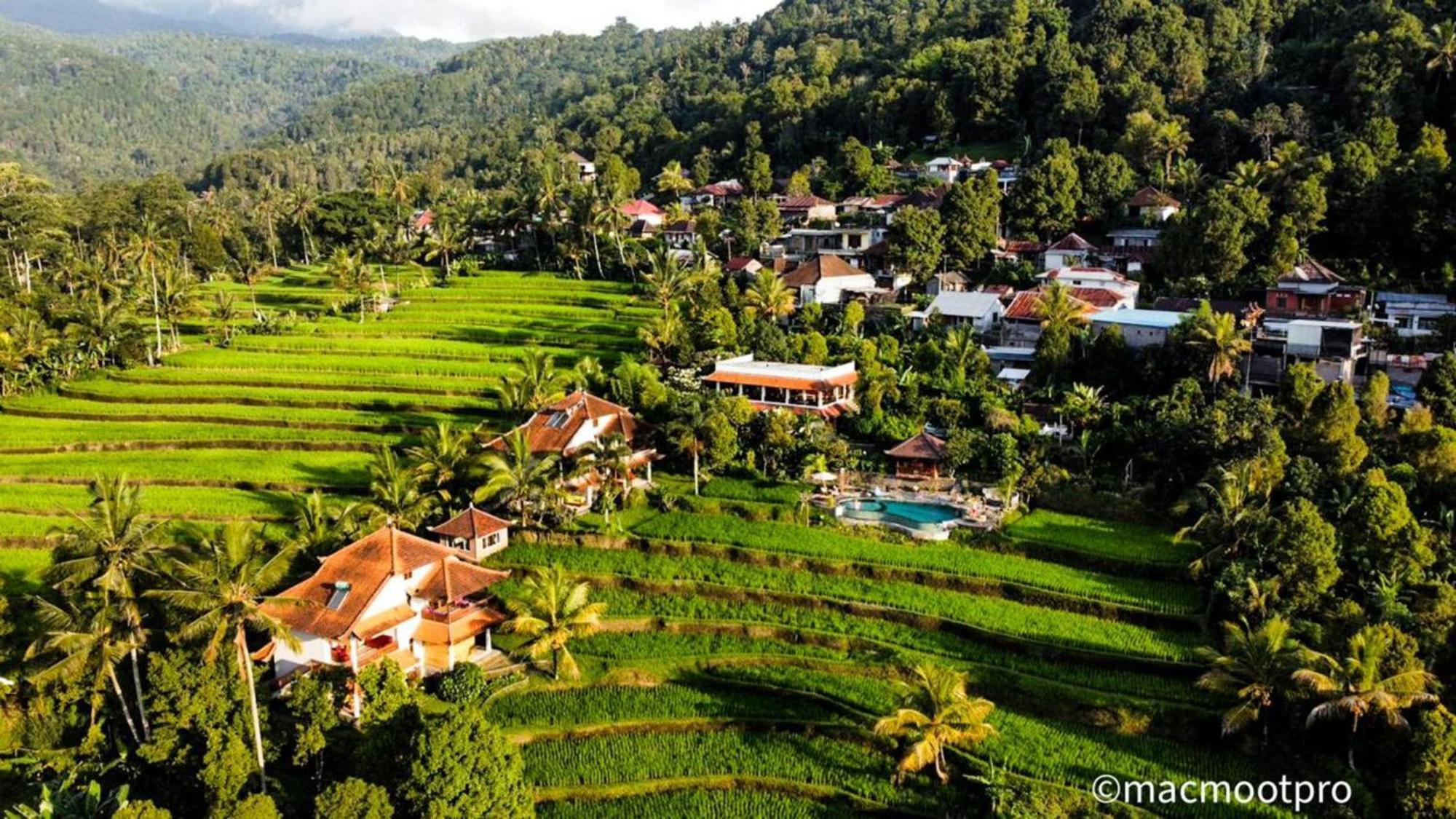 Lesong Hotel And Restaurant Munduk Buitenkant foto