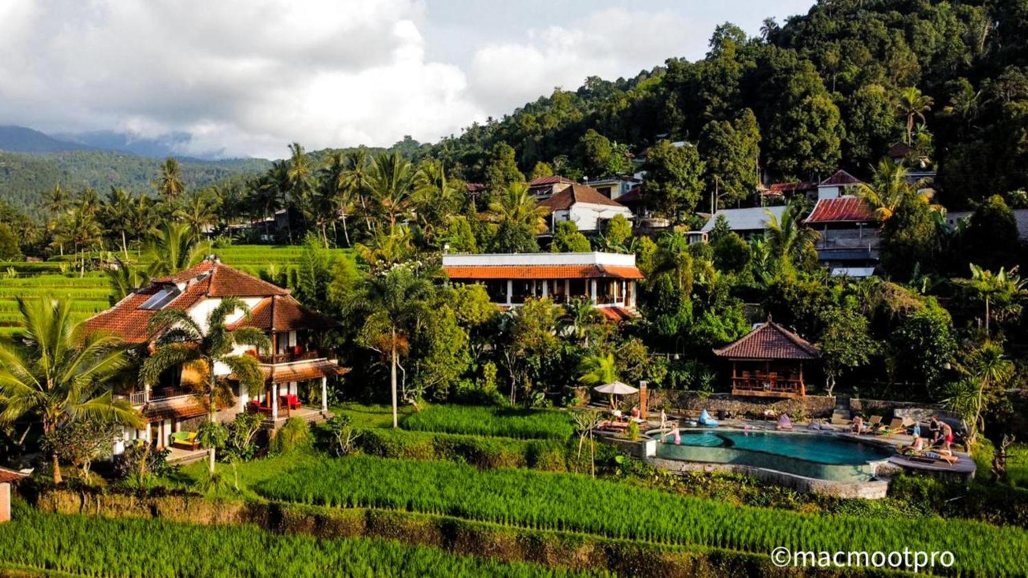 Lesong Hotel And Restaurant Munduk Buitenkant foto