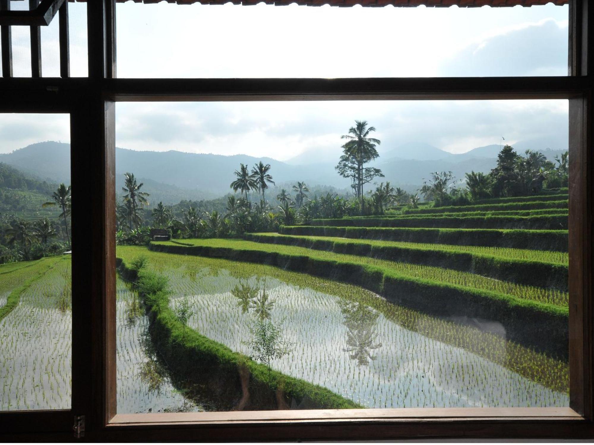Lesong Hotel And Restaurant Munduk Kamer foto