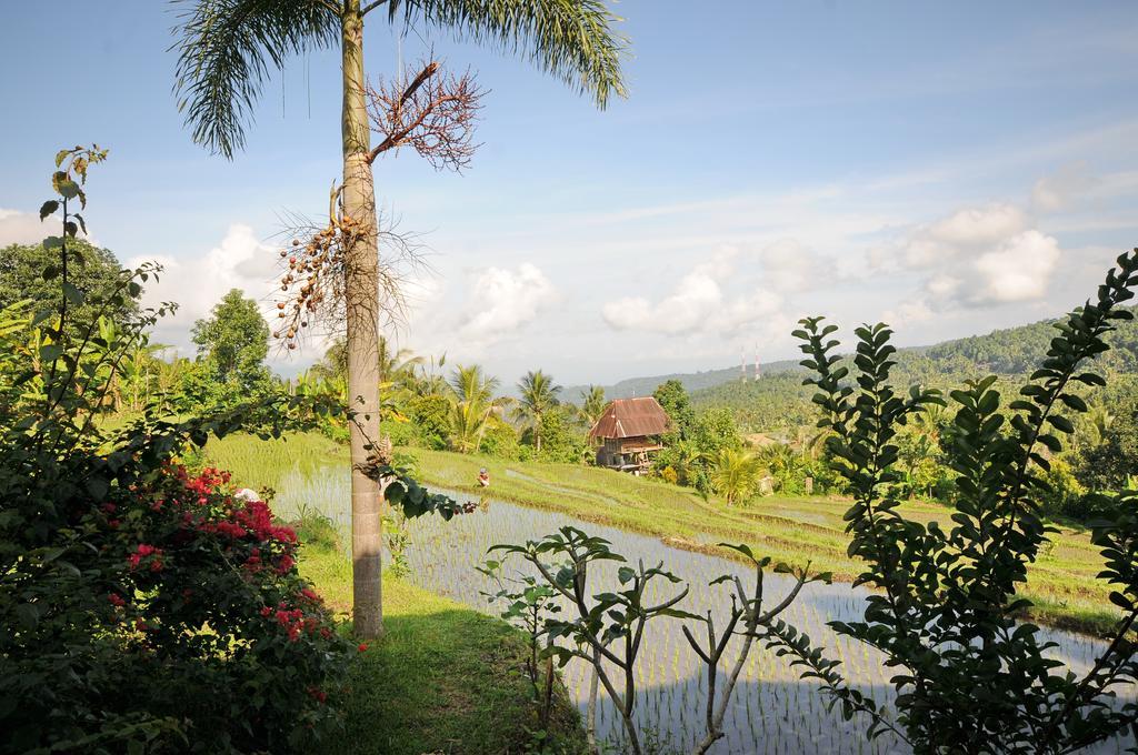 Lesong Hotel And Restaurant Munduk Buitenkant foto