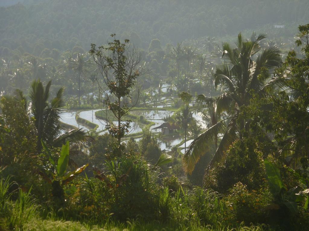 Lesong Hotel And Restaurant Munduk Buitenkant foto