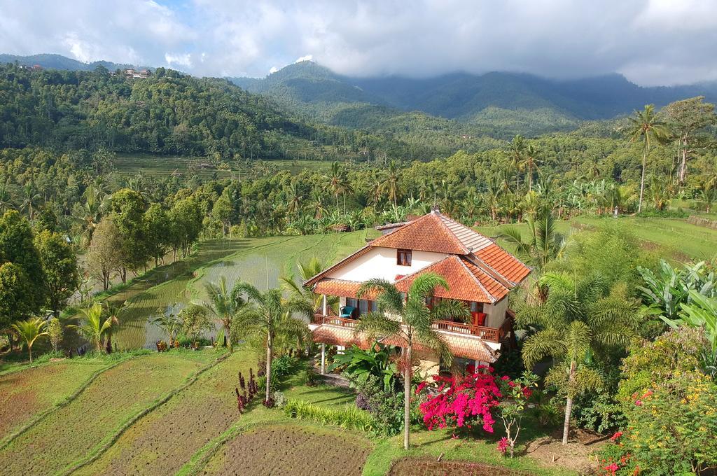 Lesong Hotel And Restaurant Munduk Buitenkant foto